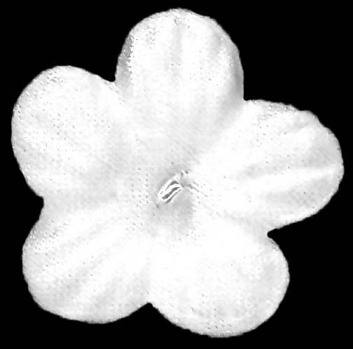 SATIN FLOWERS - P IVORY